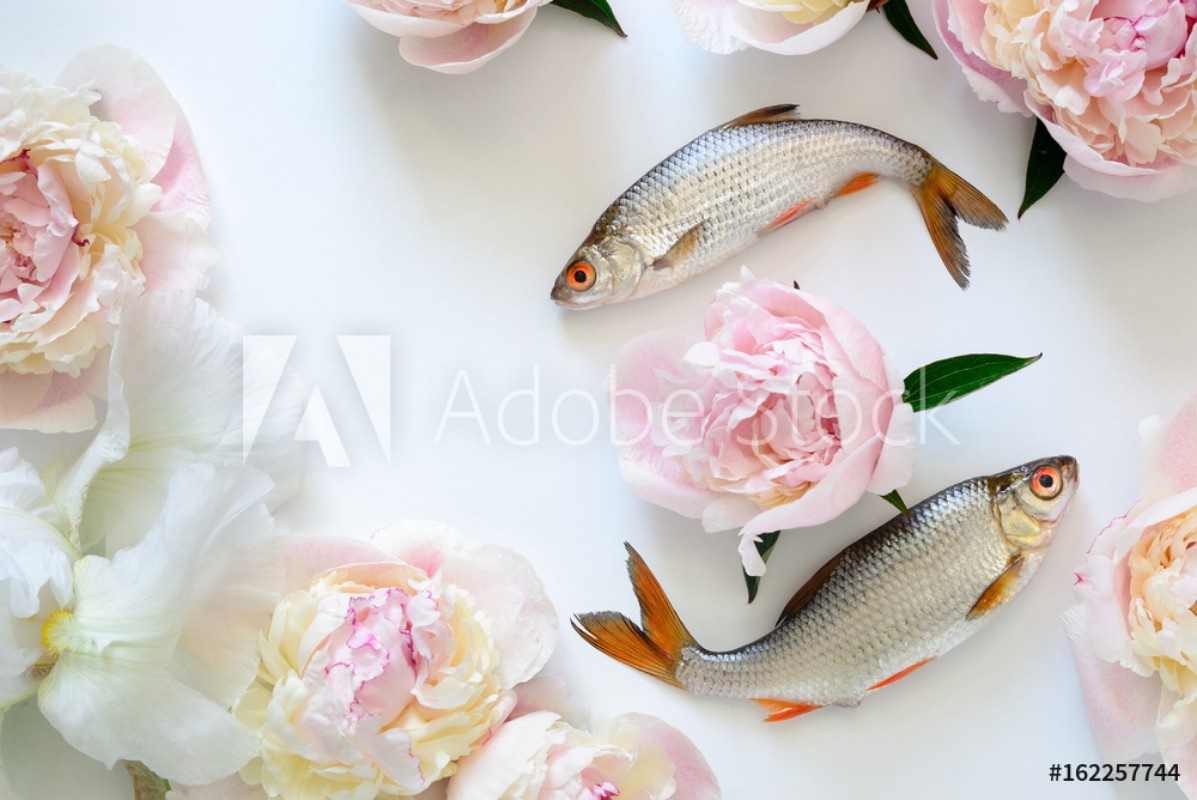 Afbeeldingen van Fishes and flowers background